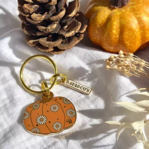 citrouille orange