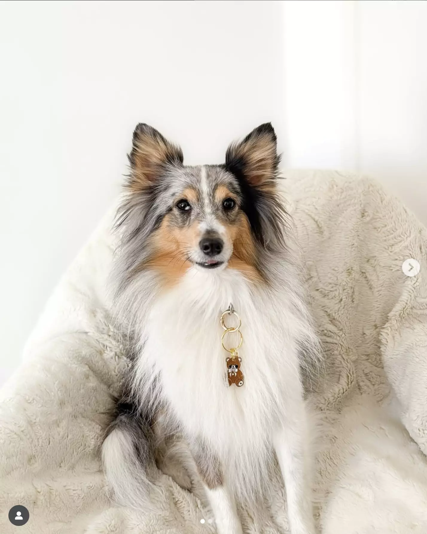 Capture d’écran 2025-10-30 à 02.04.16