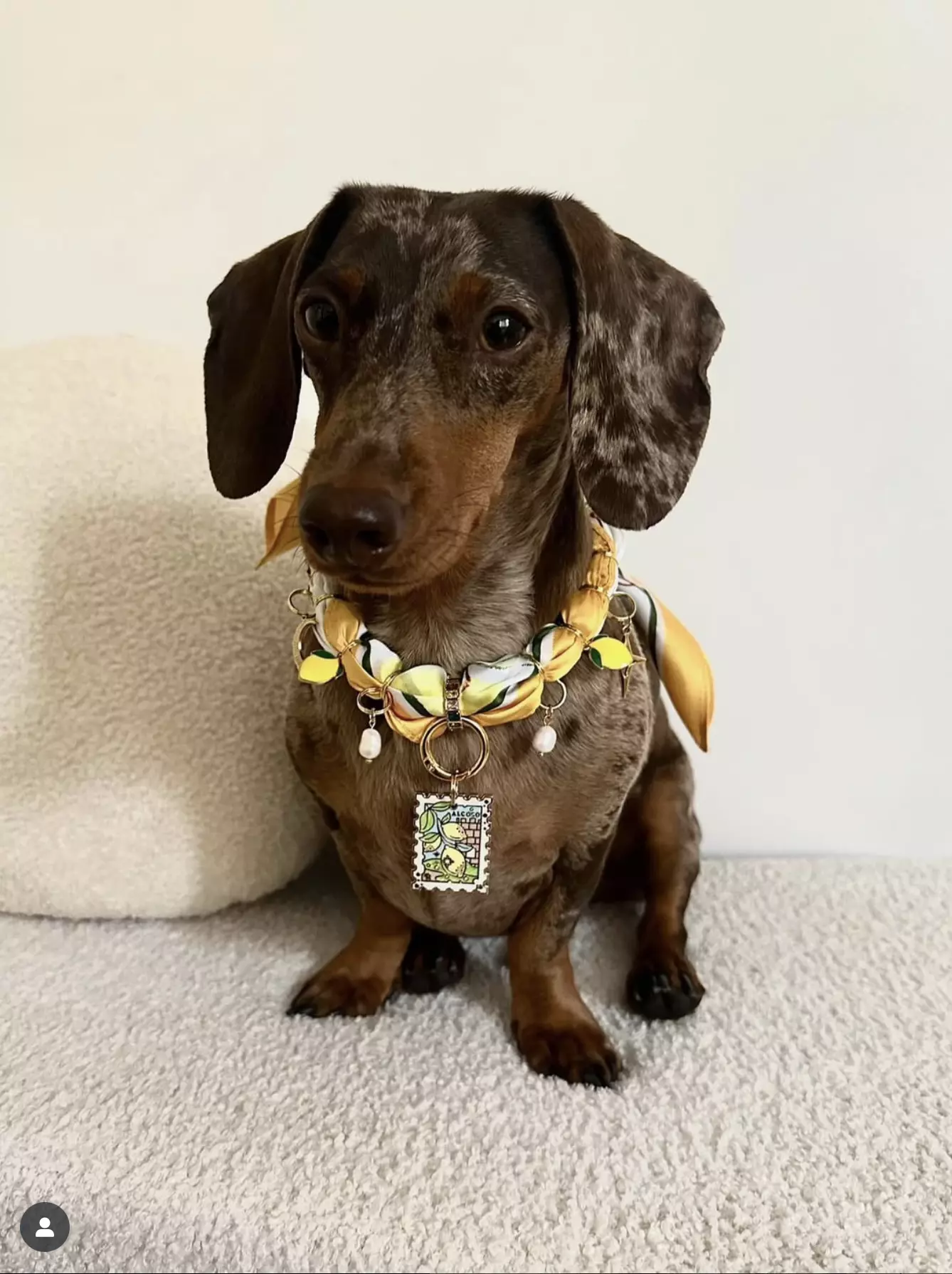 Capture d’écran 2025-10-30 à 02.04.30