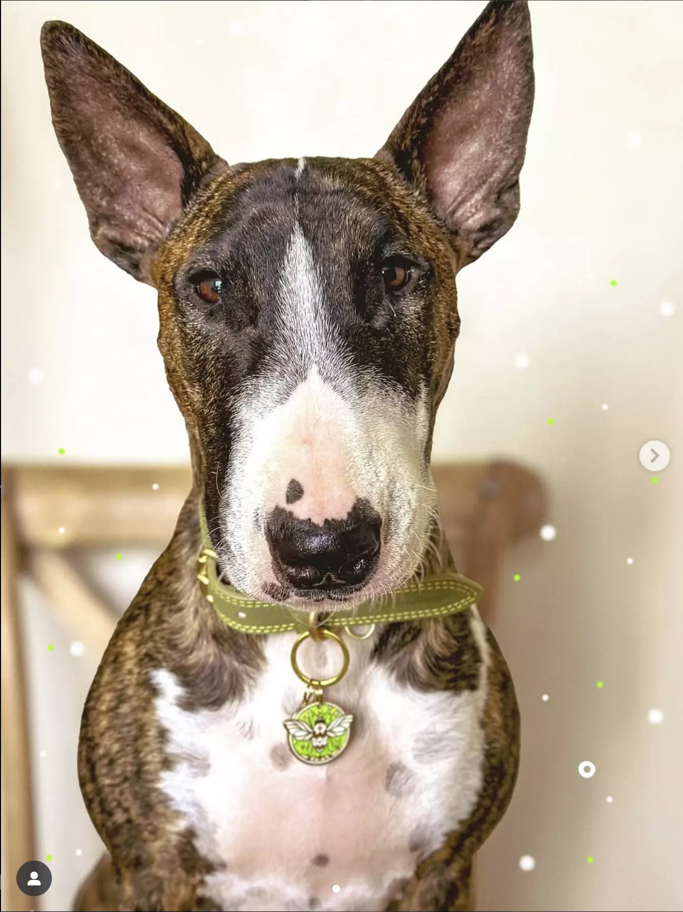 Capture d’écran 2025-10-30 à 02.11.03