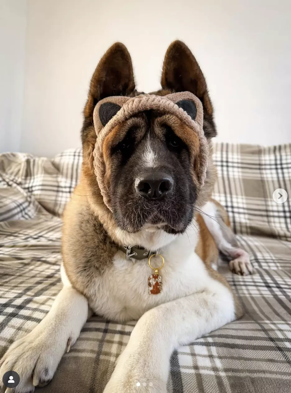 Capture d’écran 2025-11-06 à 17.48.31