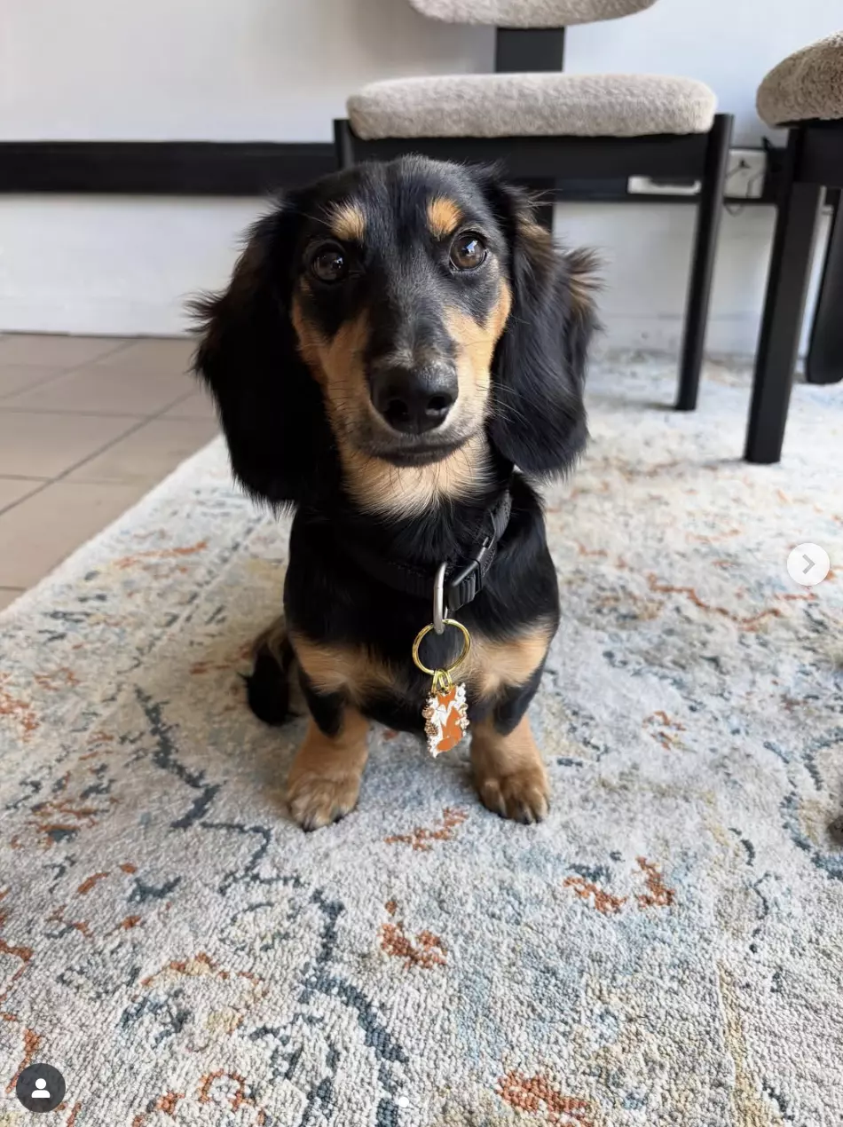 Capture d’écran 2025-11-06 à 17.48.49