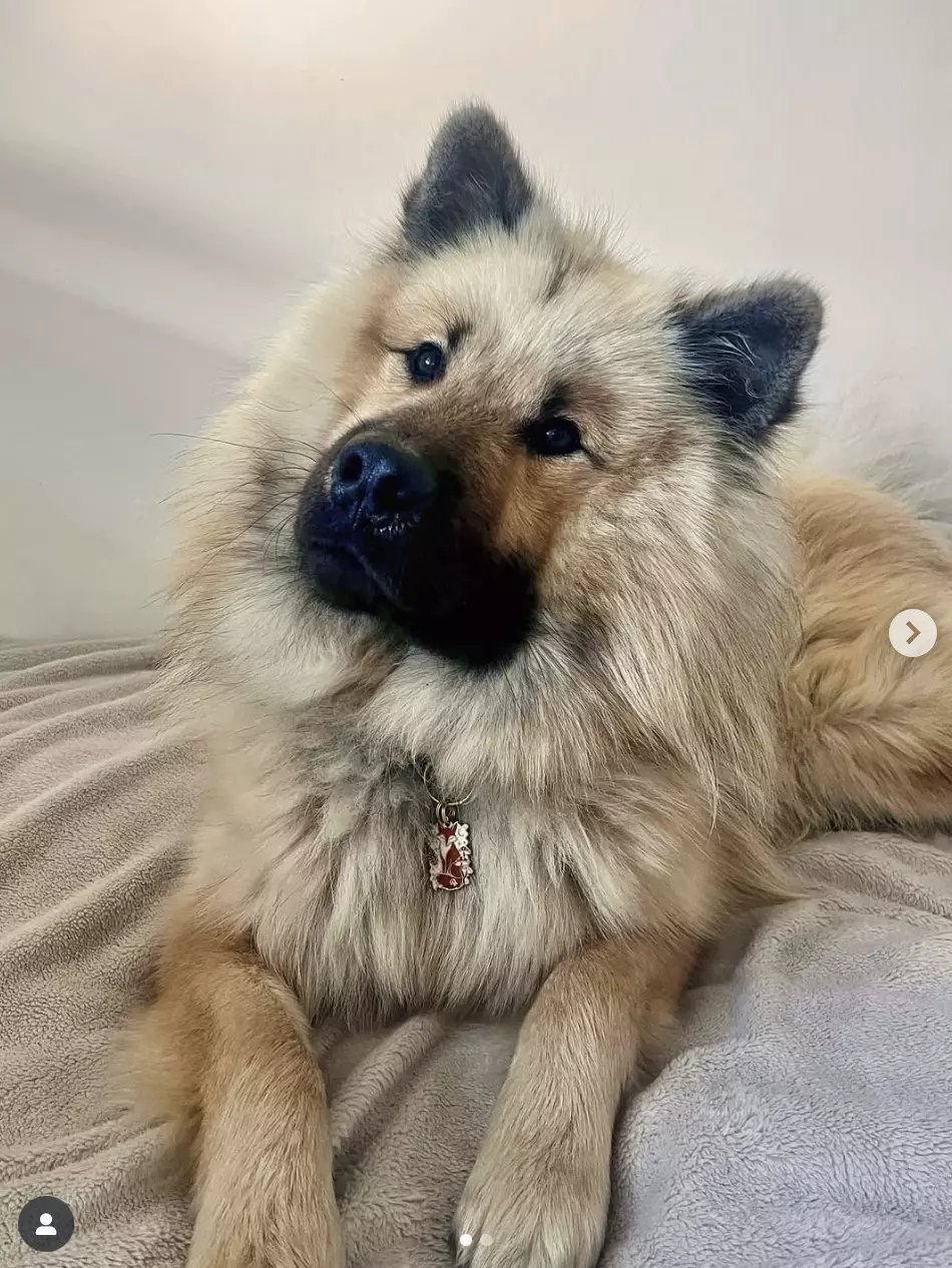 Capture d’écran 2025-11-06 à 17.49.10