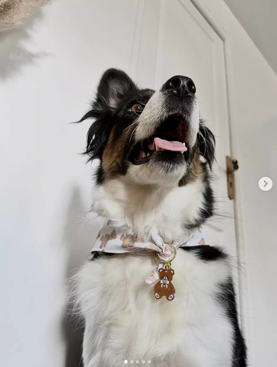 Capture d’écran 2025-11-06 à 17.51.29