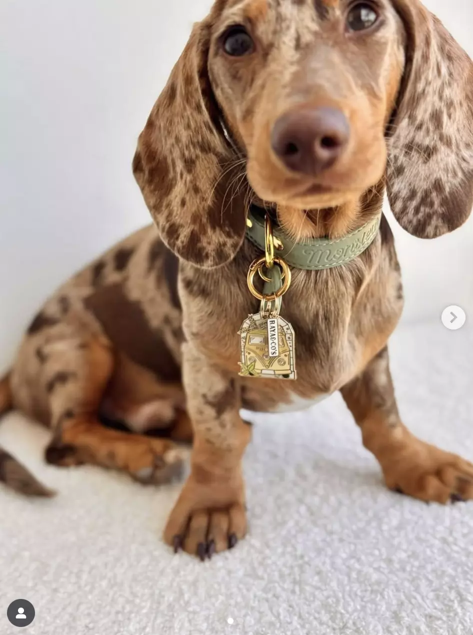 Capture d’écran 2025-11-06 à 17.51.48