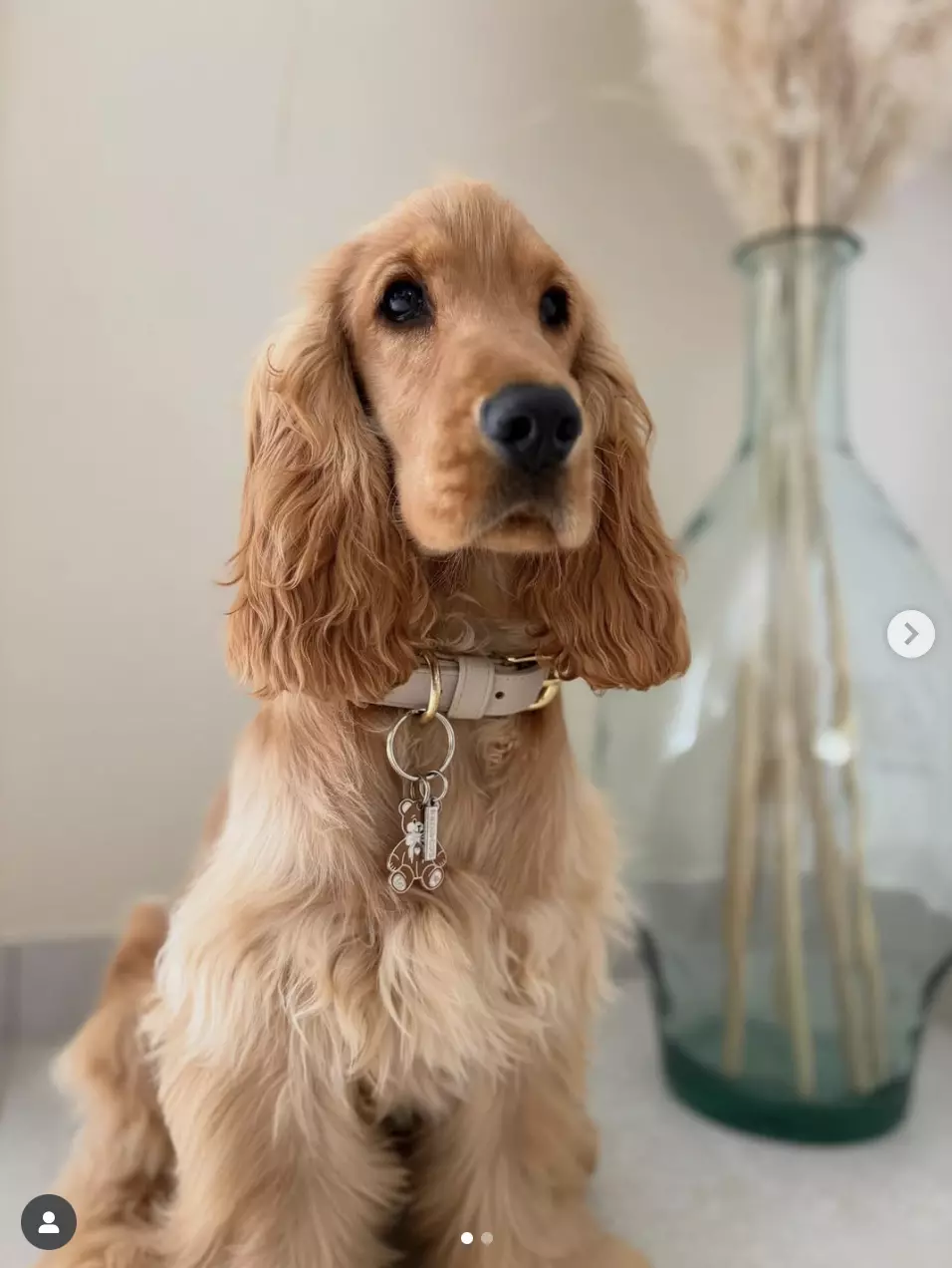 Capture d’écran 2025-11-06 à 17.52.03