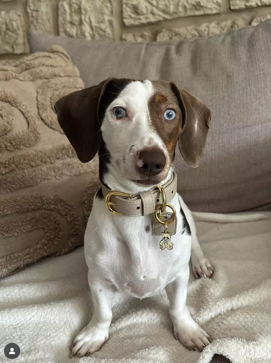 Capture d’écran 2025-11-06 à 17.52.22