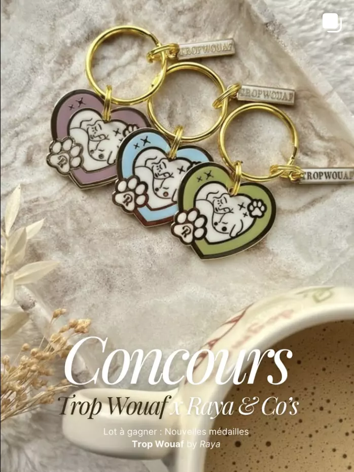 Capture d’écran 2025-11-08 à 18.08.41