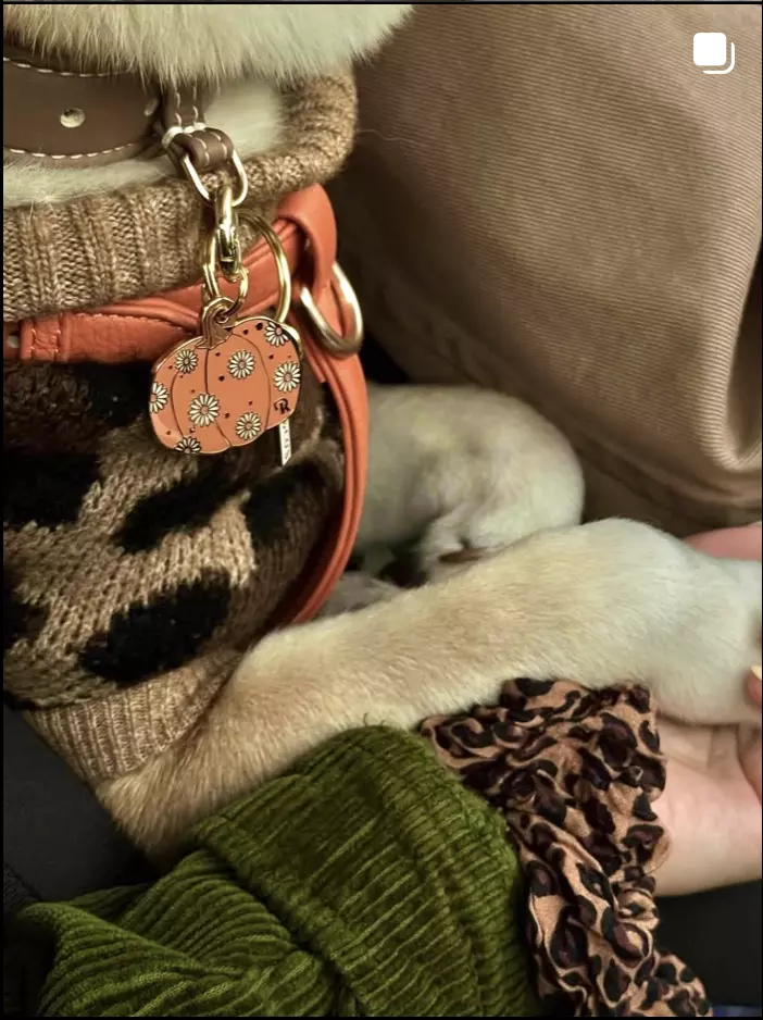 Capture d’écran 2025-11-08 à 18.08.58