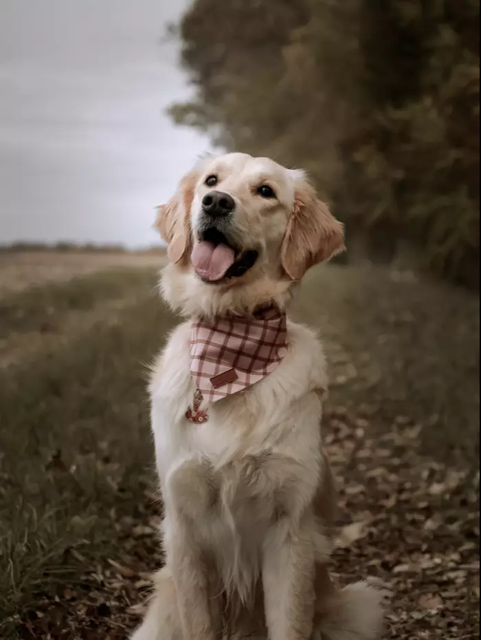 Capture d’écran 2025-11-08 à 18.11.16