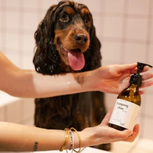 shot-cocker-shampoing-chien.jpg