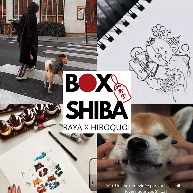 shiba box