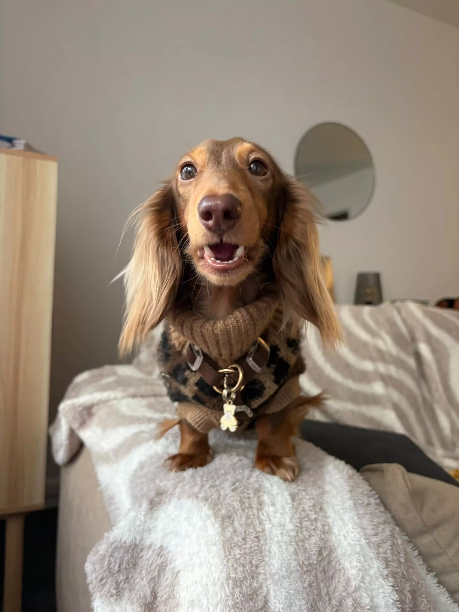 99583D10-2980-40C6-9A18-A1716B400FBB