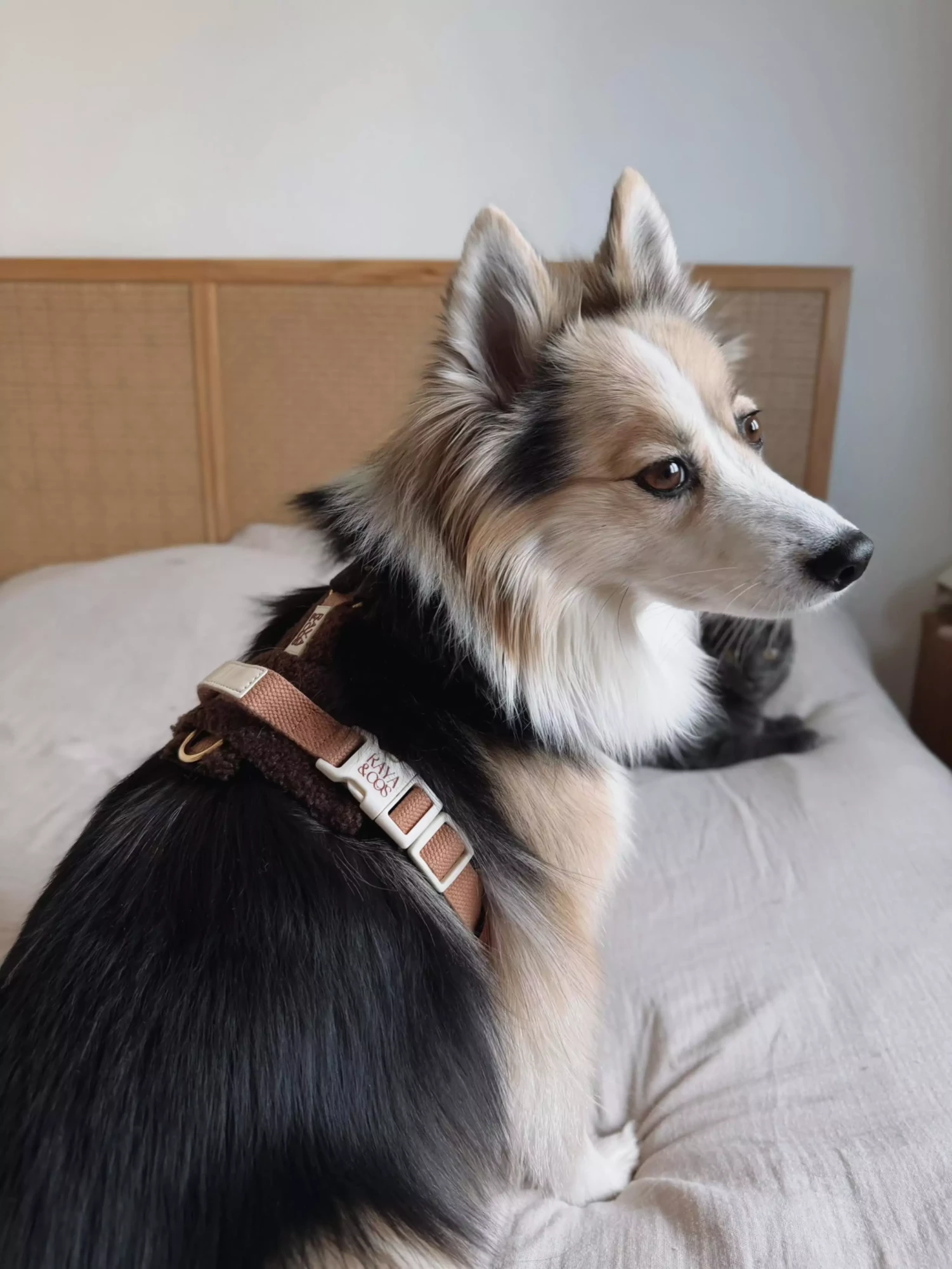 C130CBDE-C916-480B-9FE2-3746866A3A42