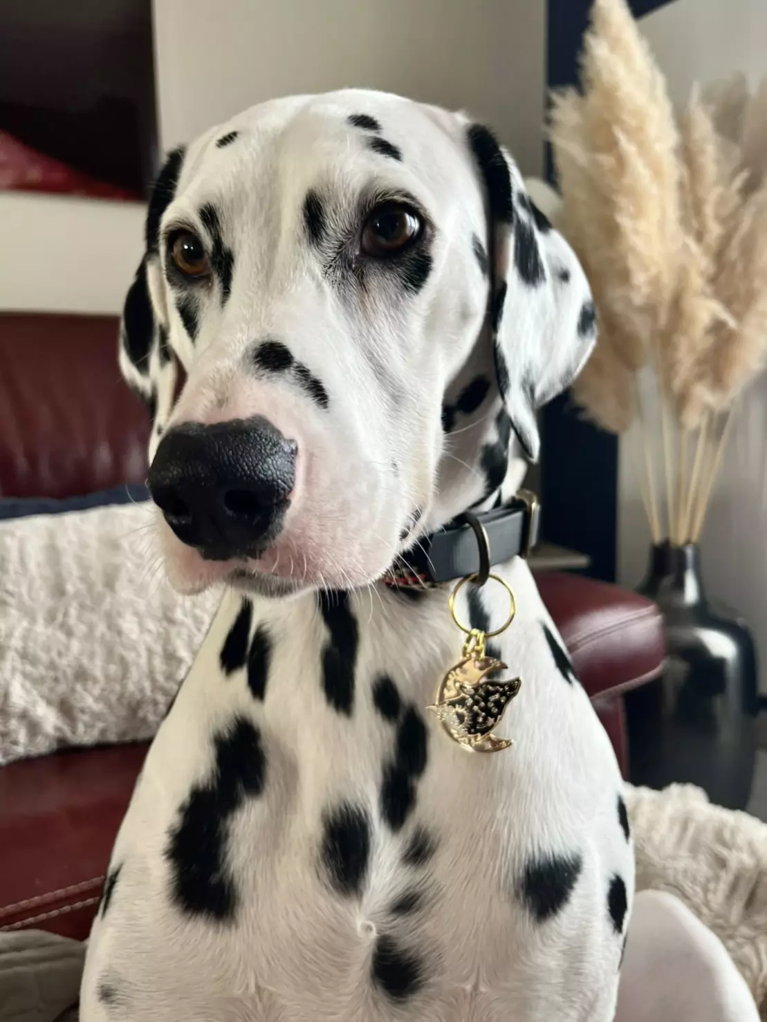 E02AD5C1-0FC8-4921-A1A2-A7B74E2A1B73