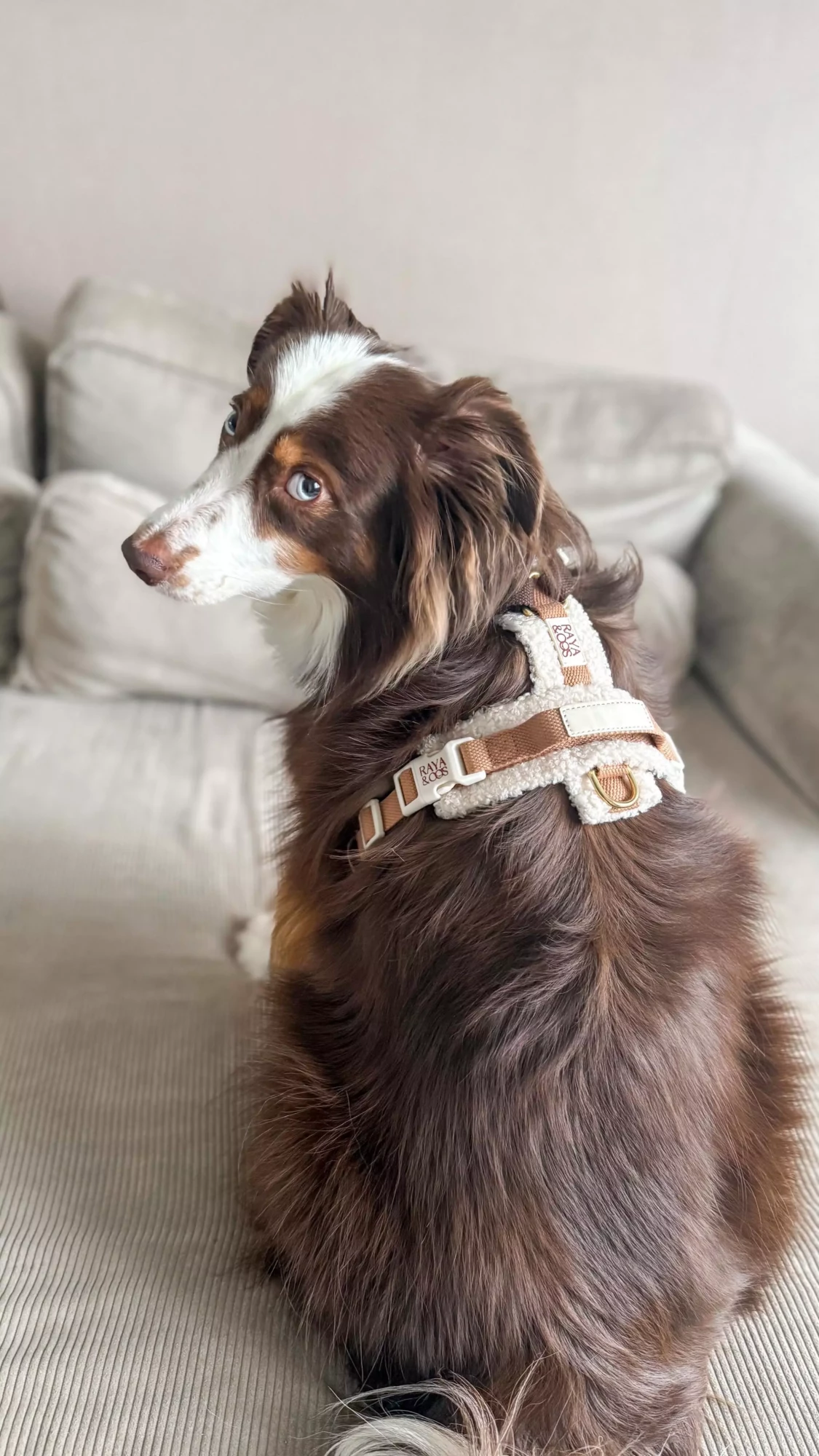 EAB3B538-AFEE-4709-BD6B-1402E9FC56E2