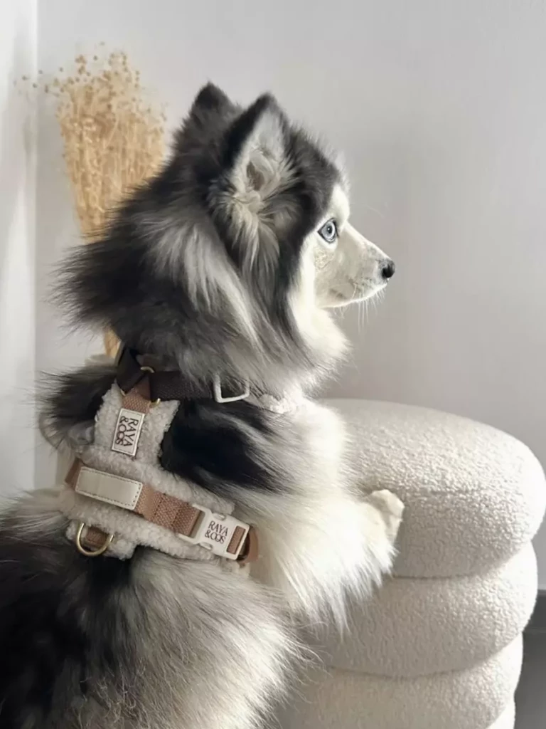 F71BAFEB-2D6C-40DE-A1BE-7EE489E7CBCB