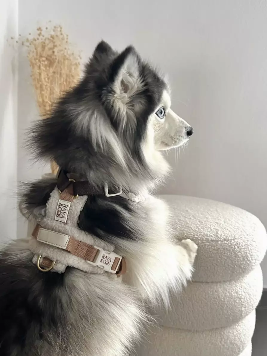 F71BAFEB-2D6C-40DE-A1BE-7EE489E7CBCB